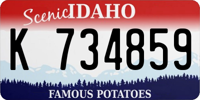 ID license plate K734859