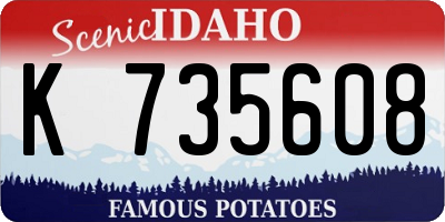 ID license plate K735608
