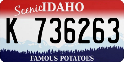 ID license plate K736263