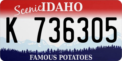ID license plate K736305