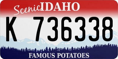 ID license plate K736338