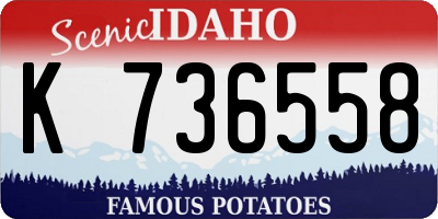 ID license plate K736558