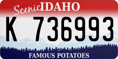 ID license plate K736993