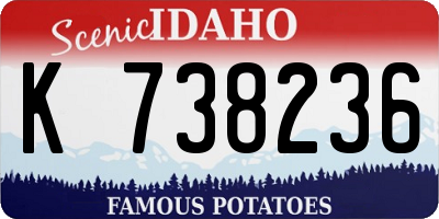 ID license plate K738236