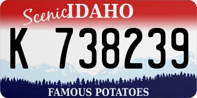ID license plate K738239