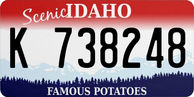 ID license plate K738248