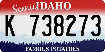 ID license plate K738273