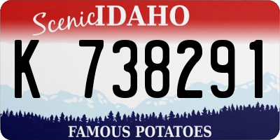 ID license plate K738291