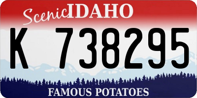 ID license plate K738295