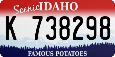 ID license plate K738298