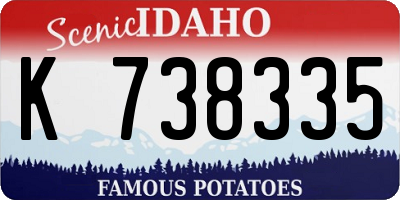 ID license plate K738335