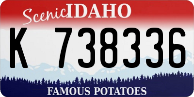 ID license plate K738336