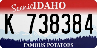ID license plate K738384