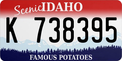 ID license plate K738395