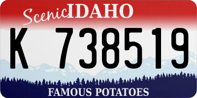 ID license plate K738519