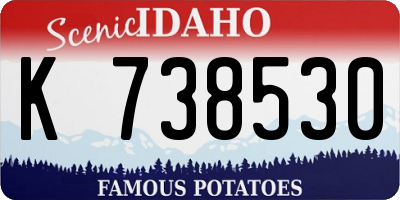 ID license plate K738530