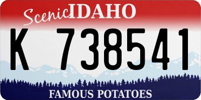 ID license plate K738541