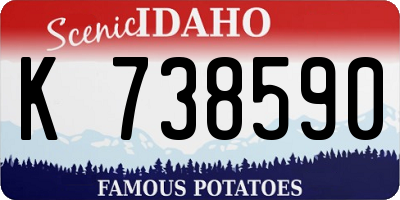 ID license plate K738590