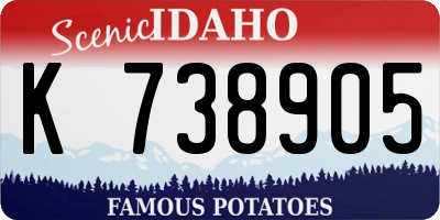 ID license plate K738905