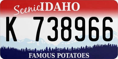 ID license plate K738966
