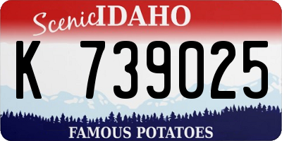 ID license plate K739025