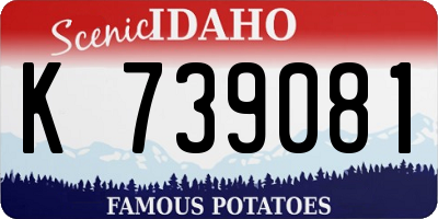 ID license plate K739081
