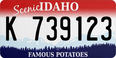 ID license plate K739123