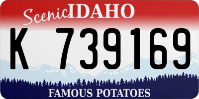 ID license plate K739169