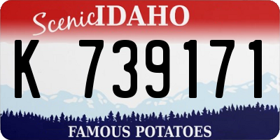 ID license plate K739171