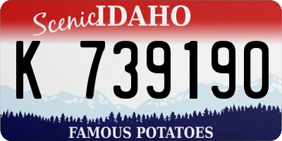 ID license plate K739190