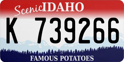 ID license plate K739266