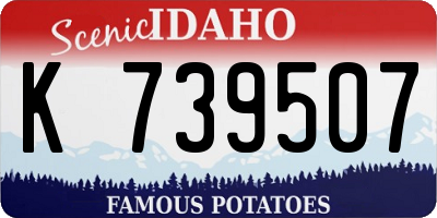 ID license plate K739507