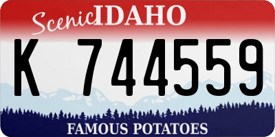 ID license plate K744559