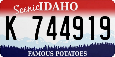 ID license plate K744919
