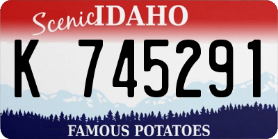 ID license plate K745291
