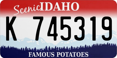 ID license plate K745319
