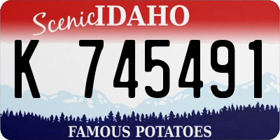ID license plate K745491