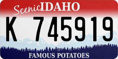 ID license plate K745919