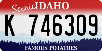 ID license plate K746309