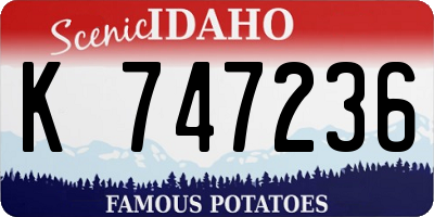 ID license plate K747236