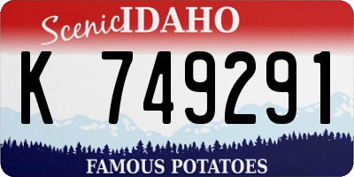 ID license plate K749291