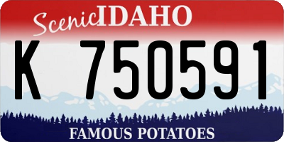 ID license plate K750591