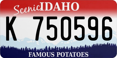 ID license plate K750596