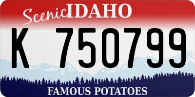 ID license plate K750799