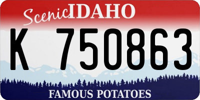 ID license plate K750863