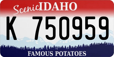 ID license plate K750959