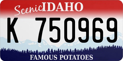 ID license plate K750969