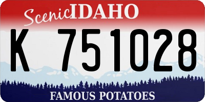 ID license plate K751028