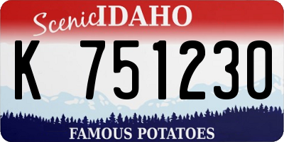 ID license plate K751230