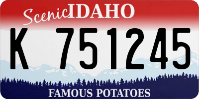 ID license plate K751245